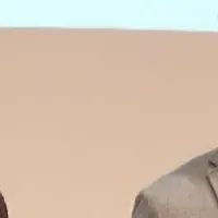 「さがつく」の革新