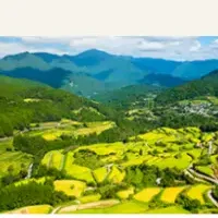 生物多様性可視化