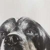 ペットケア教育強化