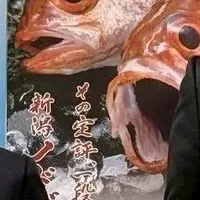 新潟の学生メニュー