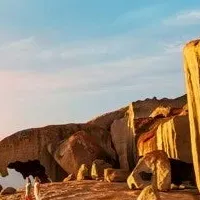 アデレード線復活