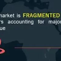 原薬市場の未来