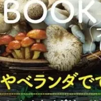 キノコ菜園を楽しもう