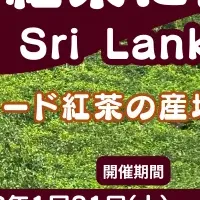 スリランカ紅茶ツアー