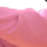 稲刈りとおにぎり