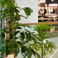 グリーンレンタルの革命