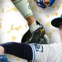 新たな契約選手たち