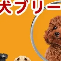 運命の子犬に出会う