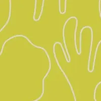 TYPICAの新プログラム