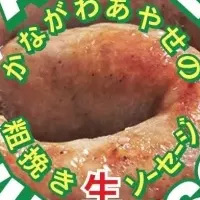 新ブランドの魅力