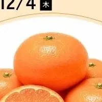 温州みかんフェア開催