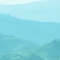 新助成プロジェクト