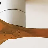 新作シーリングファン