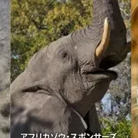 新プログラム「スポンサーズ」