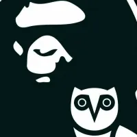 BAPEとOVOがコラボ