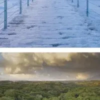 持続可能なホテルの未来