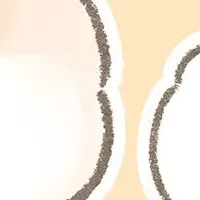 ぽぽちとぱぴち初登場