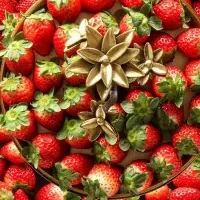 いちごの季節到来
