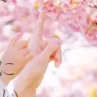 東大和市の桜プロジェクト