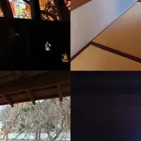 茶会で和を楽しむ