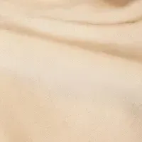 NOMINATEの日本進出