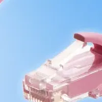 新色登場！LANケーブル