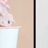 冬の新アイス店AOBA