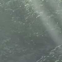 国産材専門ブランド