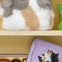 猫好き必見の新作