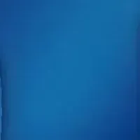 新BIGボトル登場