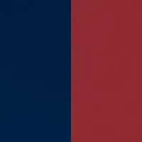 TEAZENの新シェイク