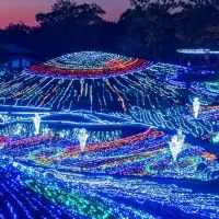 ウィンターファンタジー