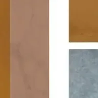 新登場のレディーススーツ