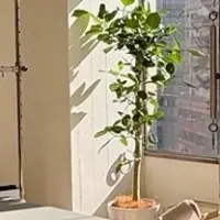 La pilates目黒店オープン