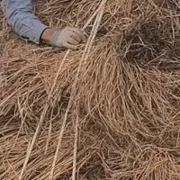 子どもの視点で働く