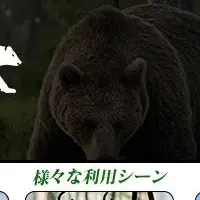 クマ被害と鈴の効果
