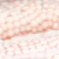 知床の秋鮭を全国へ