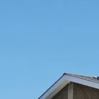 温浴施設での食体験