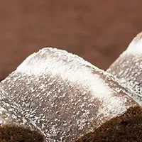 ねんりん家、町田初登場