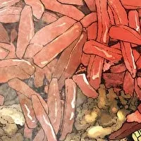 もちづきさん広告展