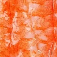 新感覚海老寿司