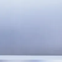 ダブルしゃちょー対談