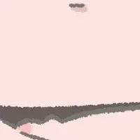 マイクロブタとヨガ