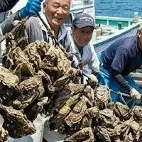蒋渕岩牡蠣の未来