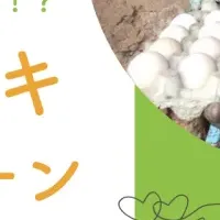 ハガキの力で飢餓支援