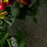 Otonamiのクリスマス