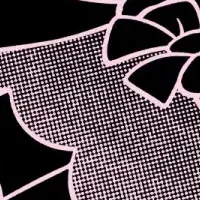 コレサワのコラボ