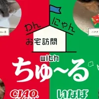 愛犬・愛猫を紹介！