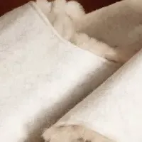 BIRKENSTOCK新作SOLANA