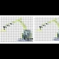 グリーンフェス2025